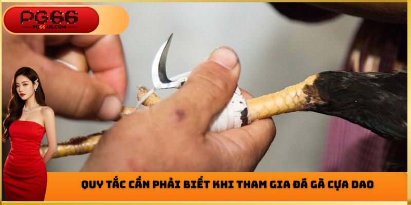 Quy tắc cần phải biết khi tham gia đá gà cựa dao